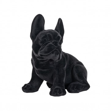Pes Miro čierny