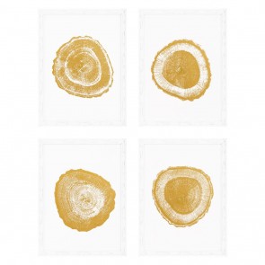 Obraz EC257 Gold Foil: Tree Rings set of 4