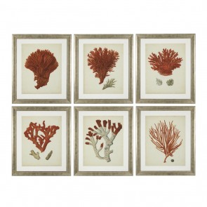 Obraz EC258 Antique Red Corals set of 6