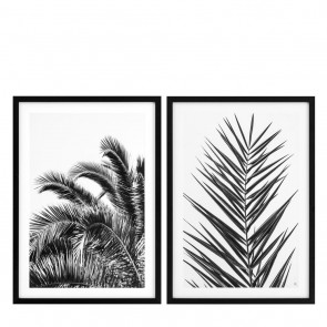 Obraz EC274 Palm Leaves set of 2