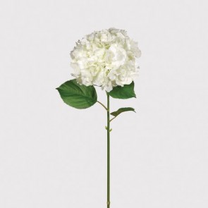Kvet - biely, výška=105 cm