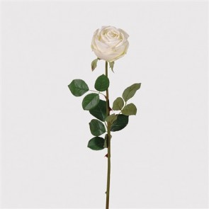 Kvet (ruža) - biely, výška = 76cm