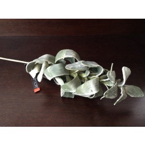 Kvet -zelené listy, 100 cm