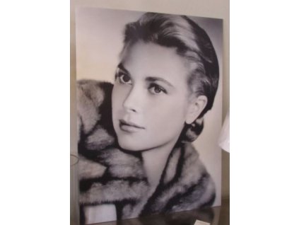 potla grace kelly 80x60cm 8203